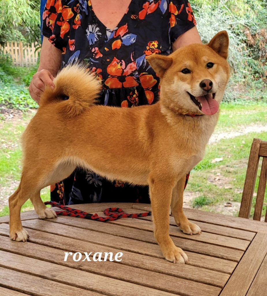 Roxane des portes de la moria